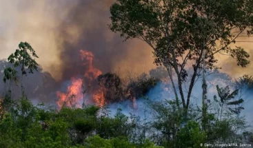 Human beings are the Reason of Amazon  Rainforest Fire: Not