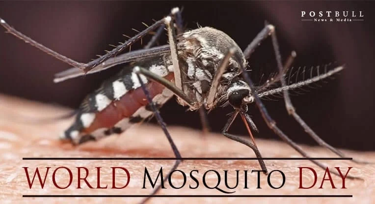 World Mosquito Day: Tips For Preventing Mosquito Bites