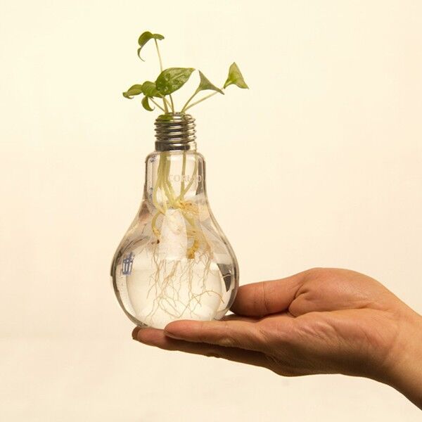 light bulb