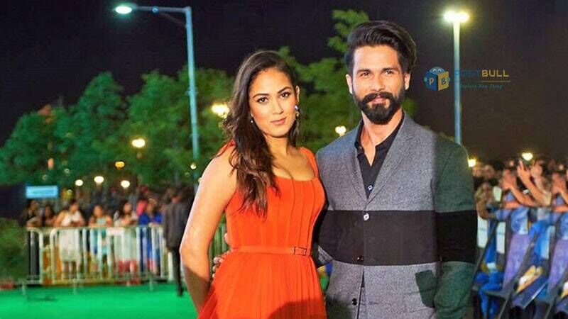 IIFA 2017: Shahid and Meera