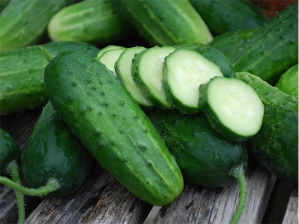 Cucumber