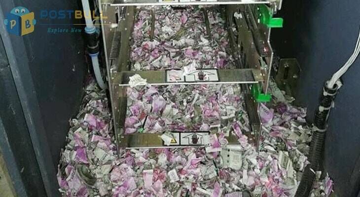 Rats chewed money