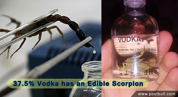 Scorpion Venom