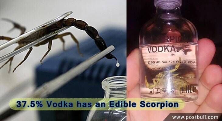 Scorpion Venom