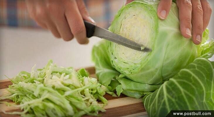 Green Cabbage