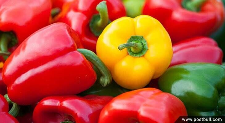 Capsicum