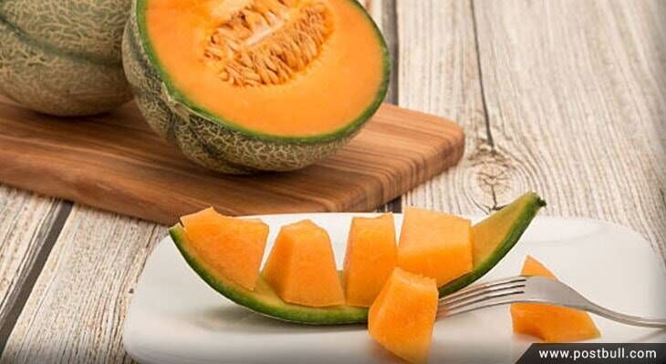 Cantaloupe