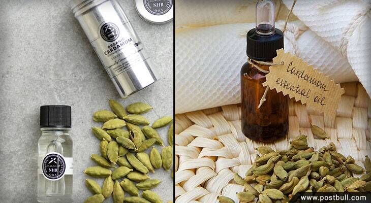 Cardamom essential oil
