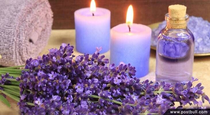 lavender oil