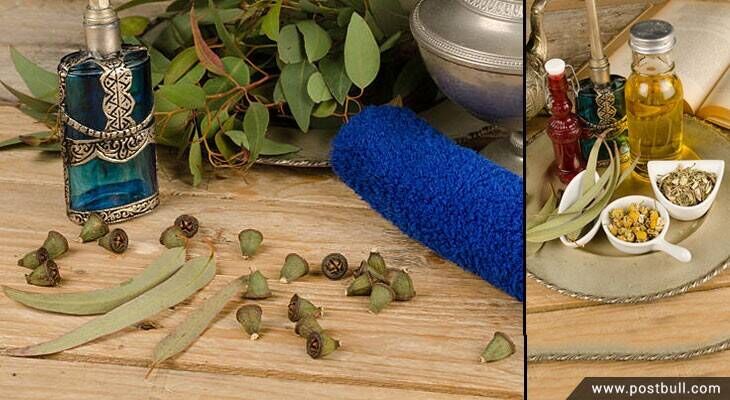 Eucalyptus