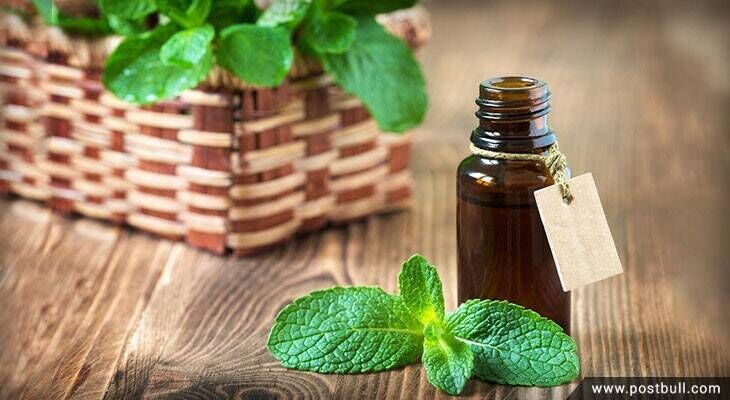 Pepper mint