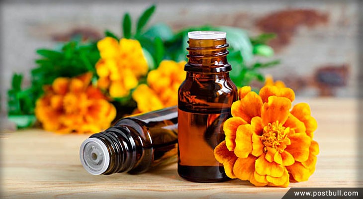 Marigold