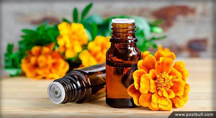 Marigold