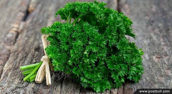 Parsley