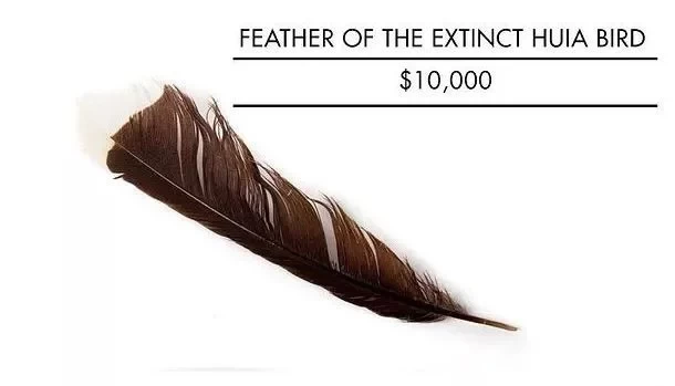 Most Expensive Things On This Planet 5