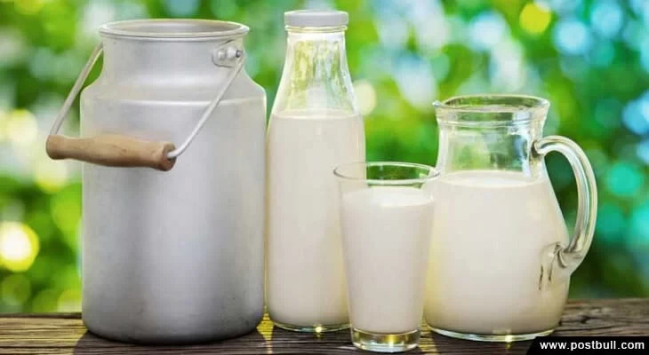 Cow Milk