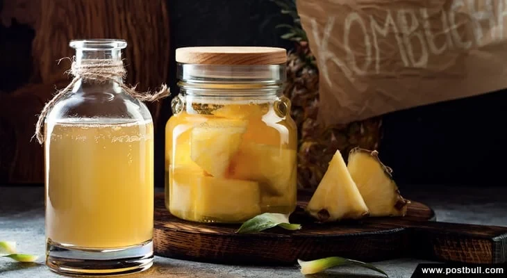 Kombucha