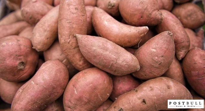 Sweet Potatoes