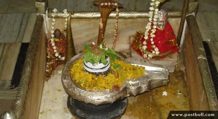 Nageshwar &ndash; Daarukavanam In Gujarat