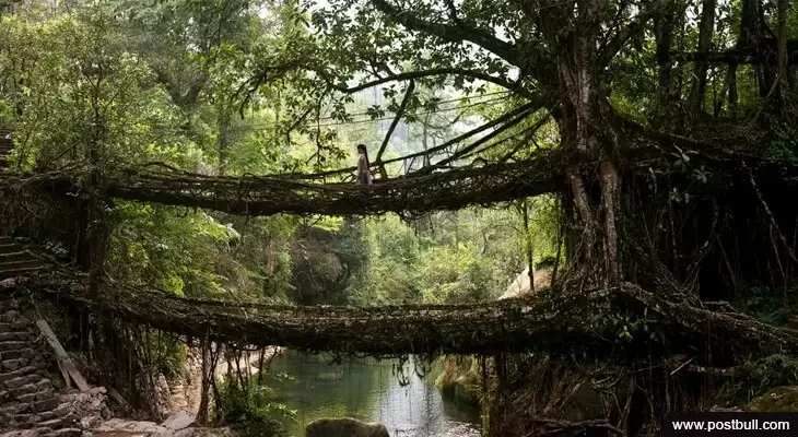 While Walking During The Living Root Bridges In Meghalaya (1)