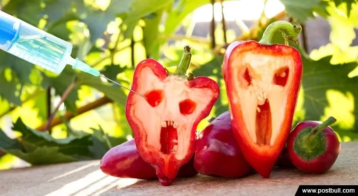 GMO Foods Min