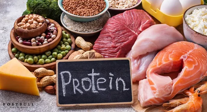Add Protein In Your All Meals