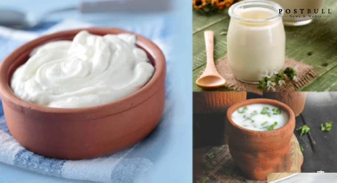 Curd Yogurt Buttermilk